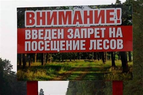 Запрет на посещение лесов в гомельской области на сегодня онлайн в каких районах
