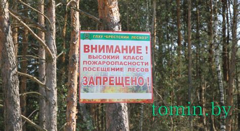 Запрет на посещение лесов в гомельской области на сегодня онлайн в каких районах