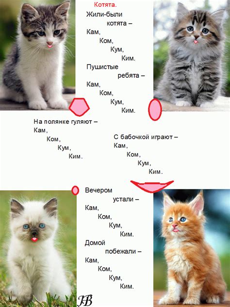 Как назвать котенка мальчика