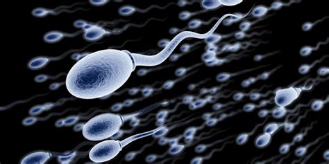 Как увеличить количество спермы