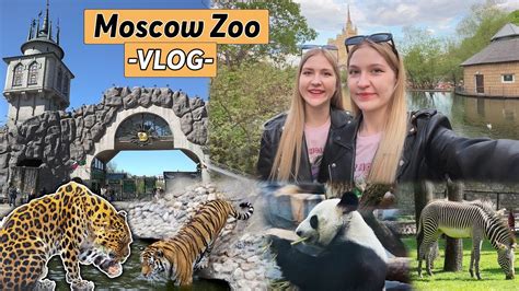 Московский зоопарк цены на билеты