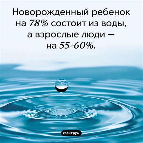 На сколько процентов воды состоит человек