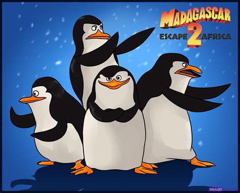 Пингвины из мадагаскара