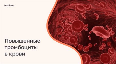 Повышенные тромбоциты в крови