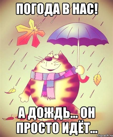 Погода в совьяках