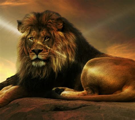Почему лев царь зверей