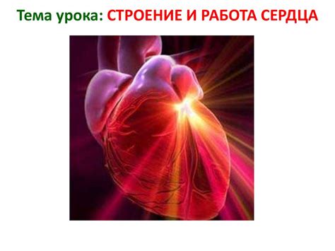 Сердце рвется из груди
