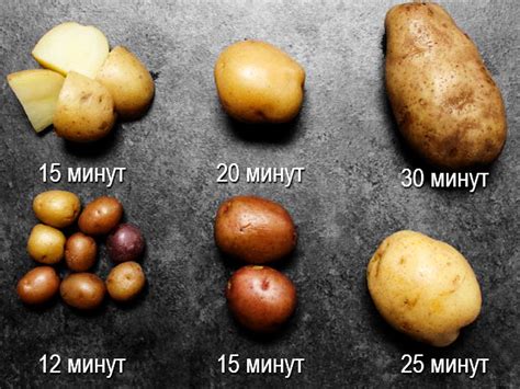 Сколько варится молодая картошка