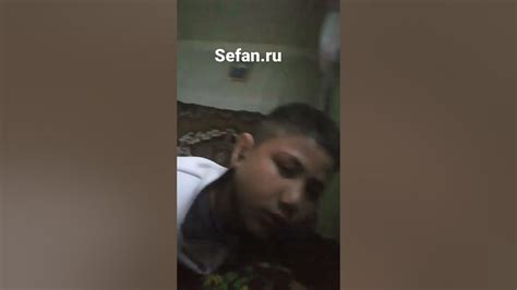 Sefan ru бесплатные видео