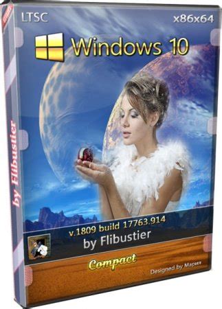 Windows 10 ltsc by flibustier