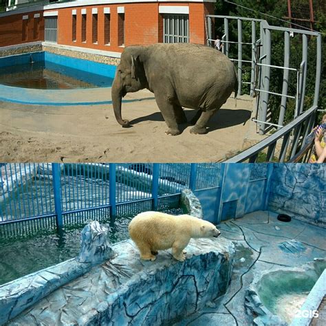Екатеринбург зоопарк