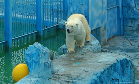 Екатеринбург зоопарк