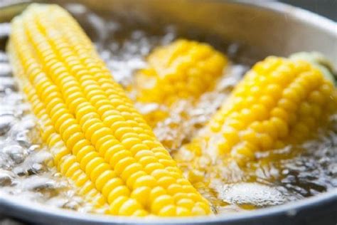 Как отварить кукурузу