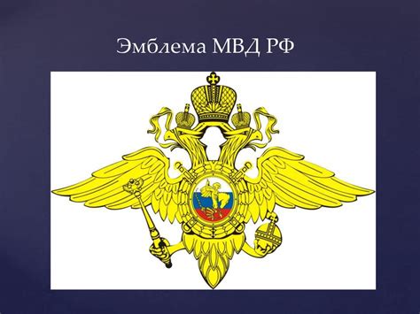 Министерство внутренних дел российской федерации
