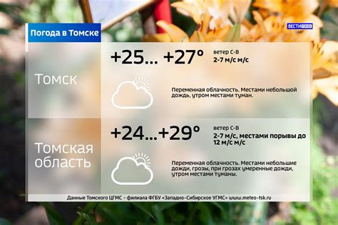 Погода в чехове на 14 дней