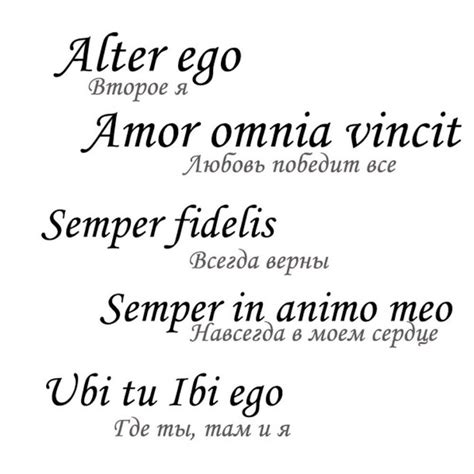 Фразы на латыни со смыслом